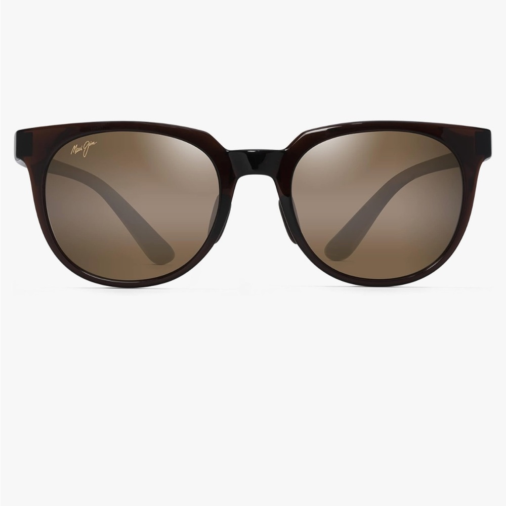 Classic Brown Sunglasses